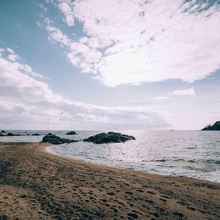 Apartamento Reformado A 2 Minutos De La Playa En Calella! Calella De Palafrugell Eksteriør billede